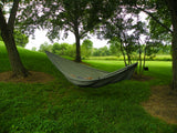 Tree Runner