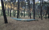 Tree Runner