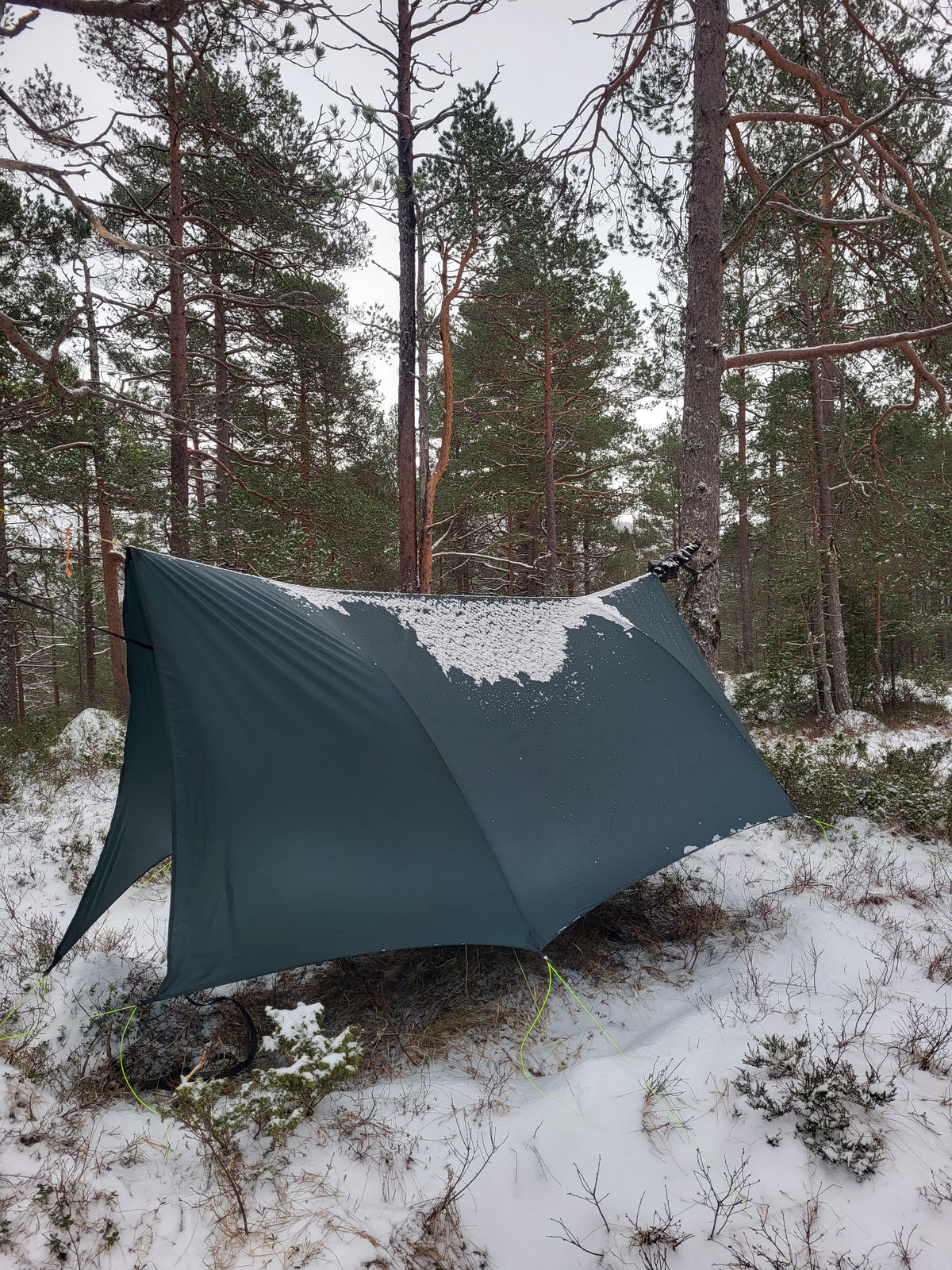 Winter Haven Tarp