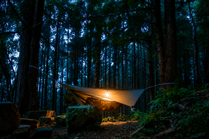 Simplicity Asym Hammock Tarp