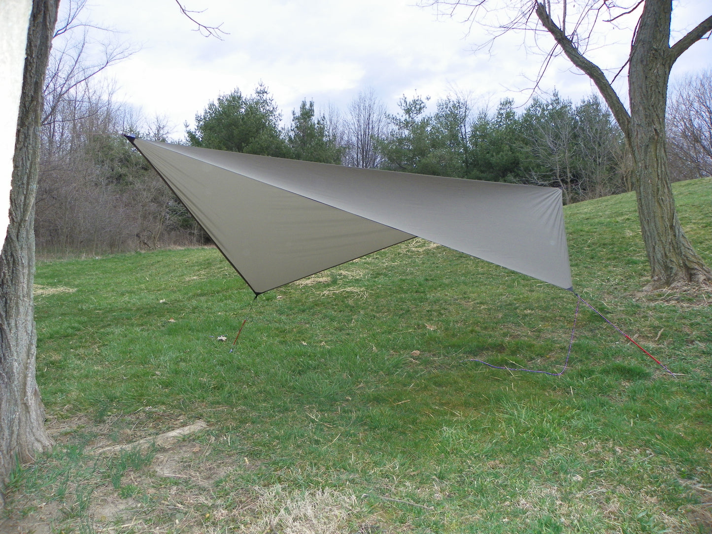 Asym Hammock Tarp - Xenon Sil 1.1 Fire Pattern Standard Length