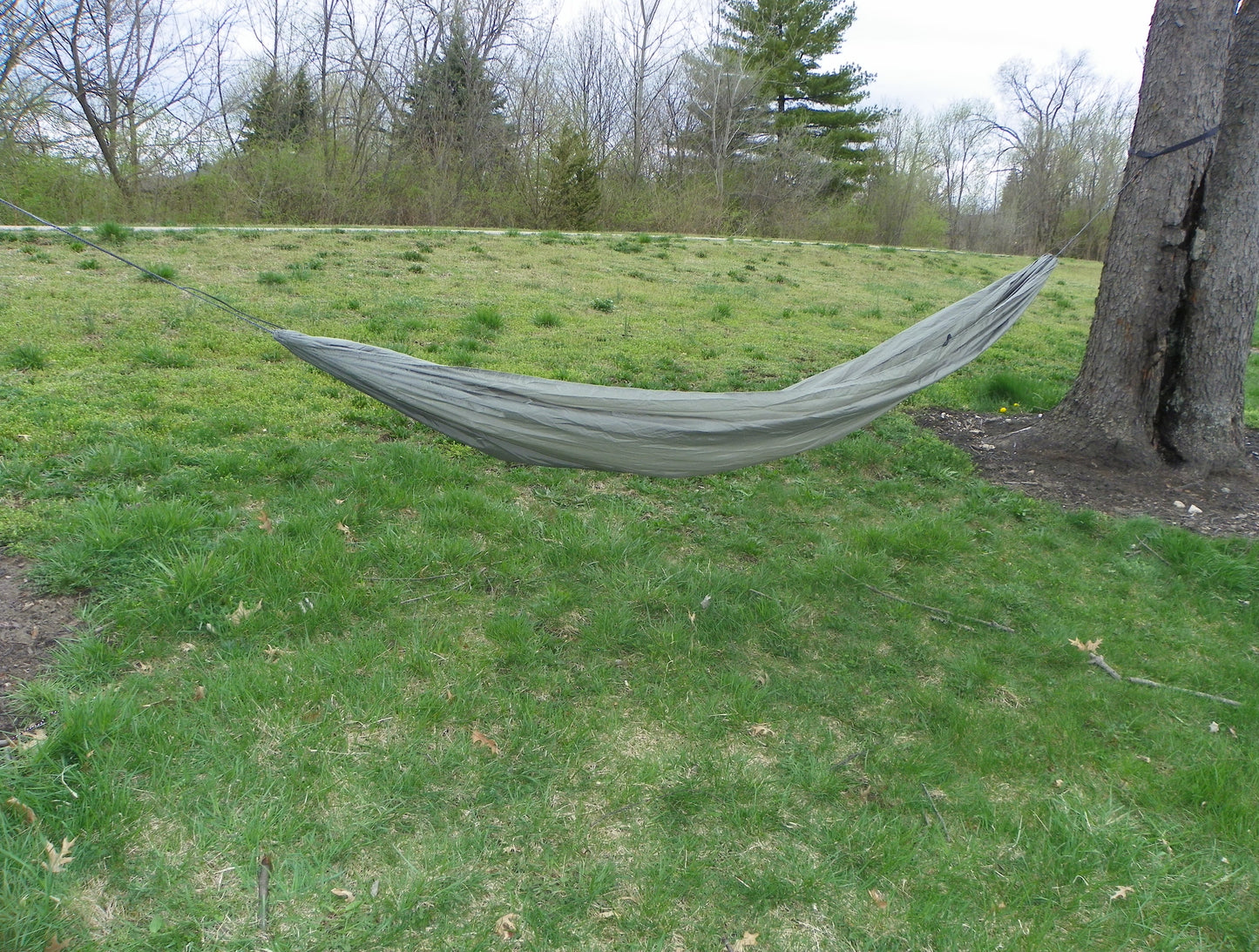Tree Runner Hammock