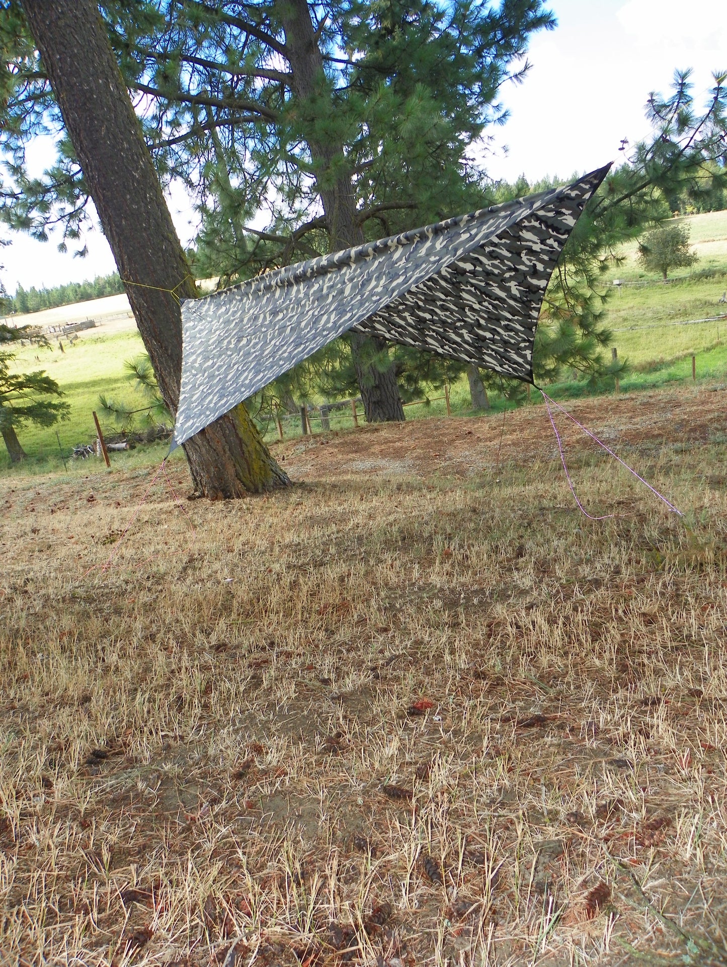 Simplicity Asym Hammock Tarp