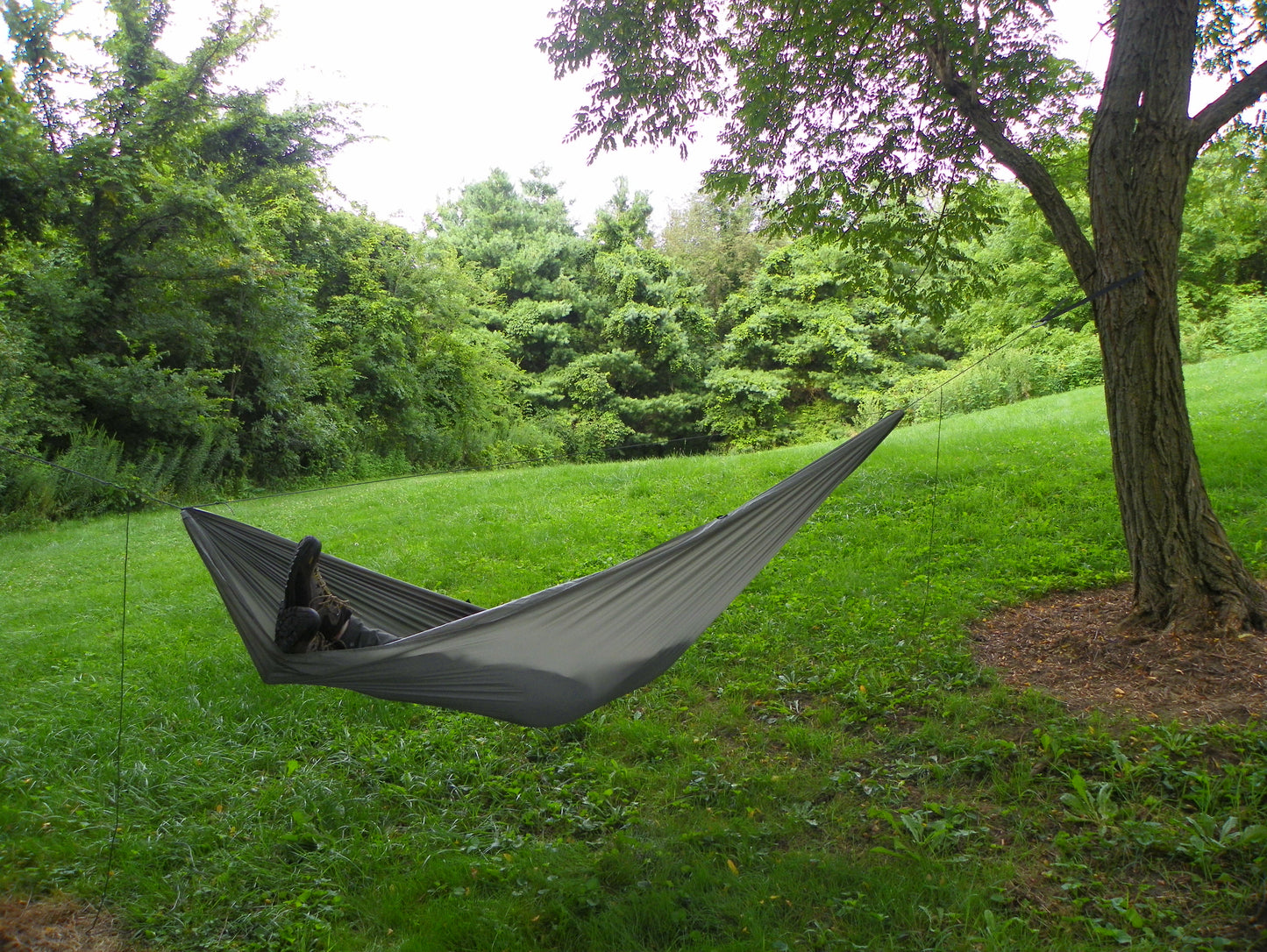 Tree Runner Hammock