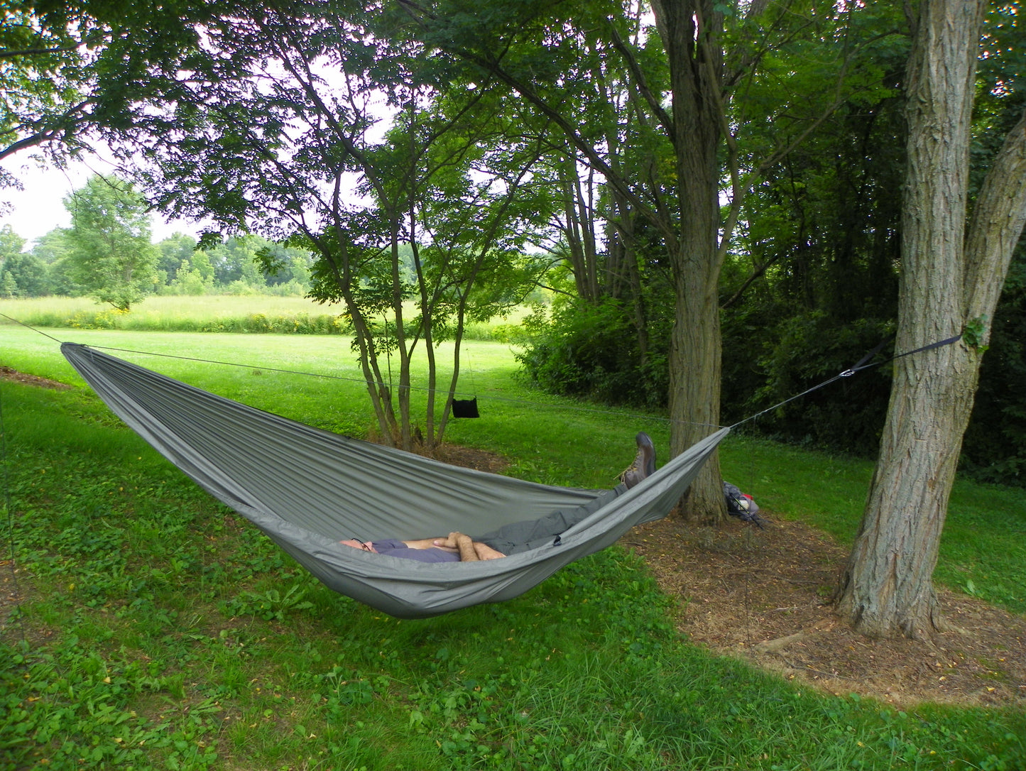 Tree Runner Hammock