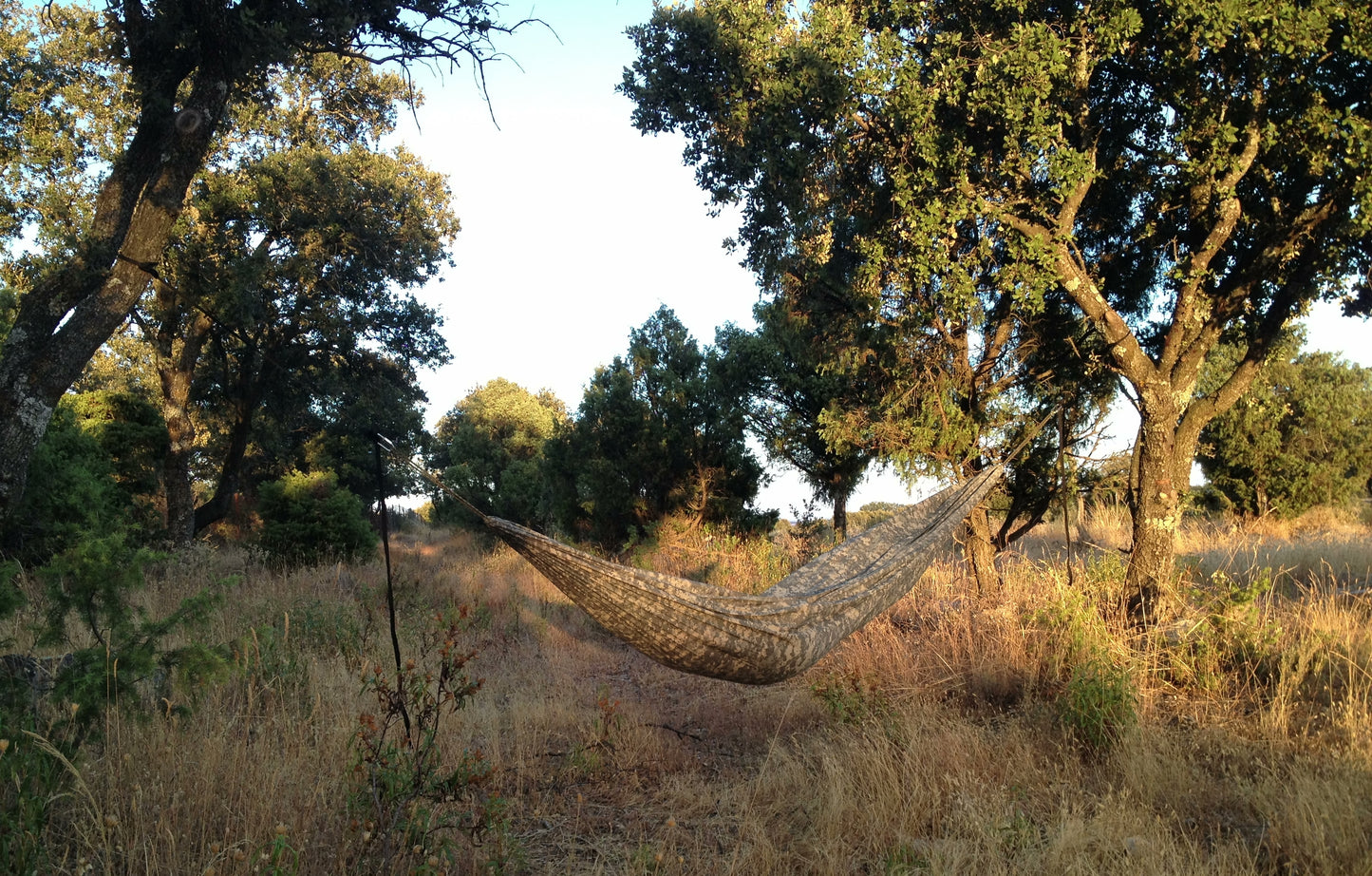 Tree Runner Hammock