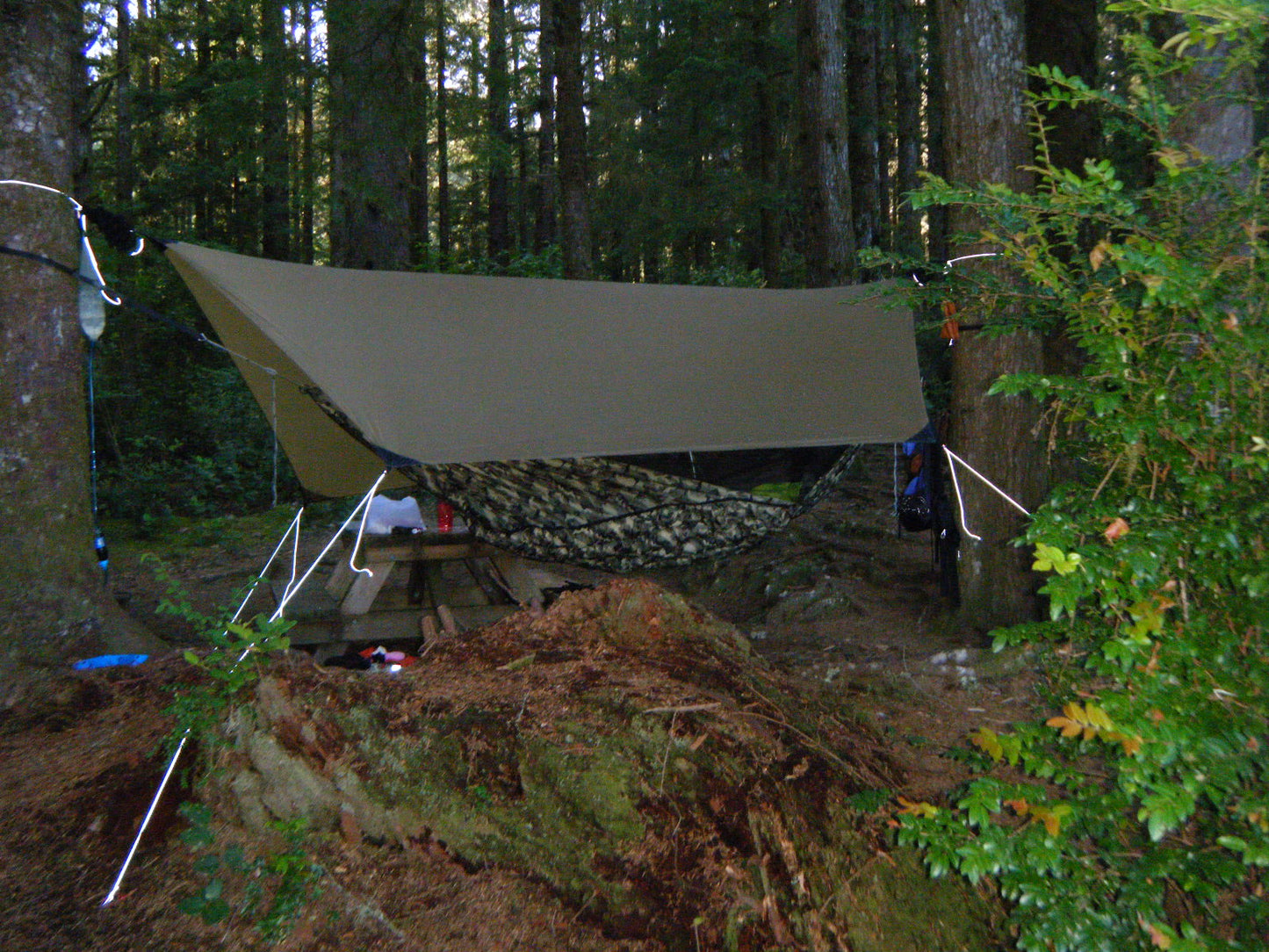 Trail Haven Tarp